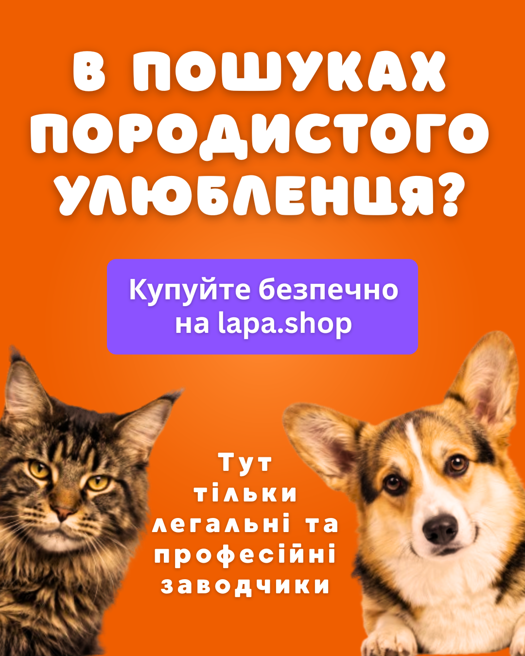 LAPA banner